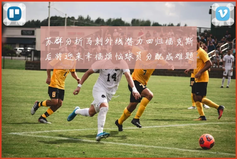 苏群分析马刺外线潜力回归福克斯后将迎来幸福烦恼球员分配成难题