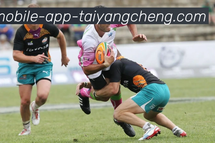 App Interface Preview