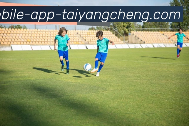 太阳城APP 封面图