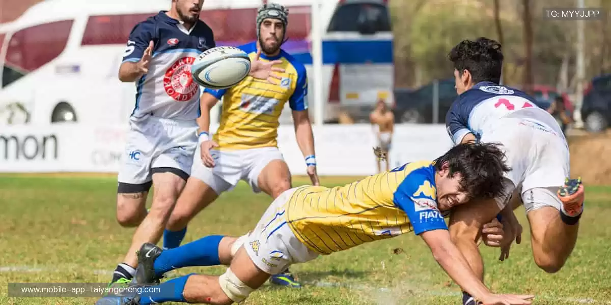 🏆正版周边，把热爱穿在身上！